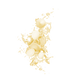Splash Image
