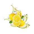 Lemon Iced Tea / 65ml (EN, IT, ES)
