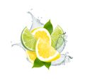 Lemon Lime Soda / 65ml (EN, IT, ES)