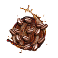 Cafe Frappe Style / 500g V1